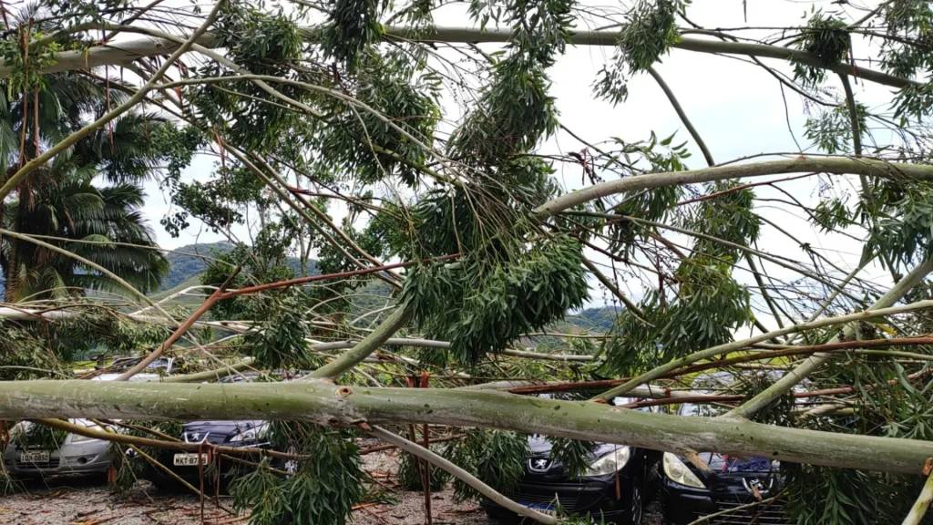 Temporal Causa Estragos Em Gaspar E Deixa 9 Mil Residencias Sem Energia Eletrica 2