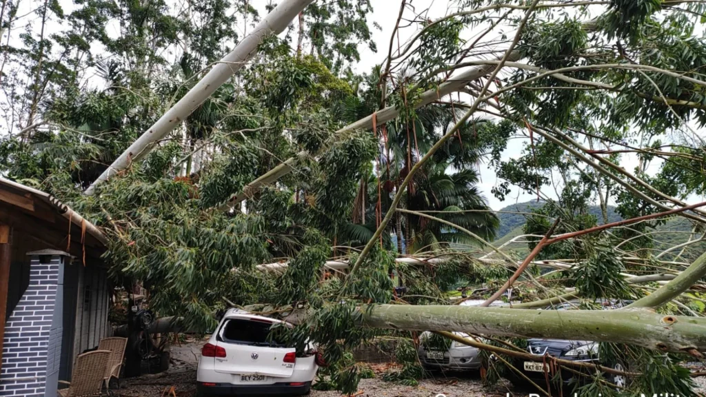 Temporal Causa Estragos Em Gaspar E Deixa 9 Mil Residencias Sem Energia Eletrica 4