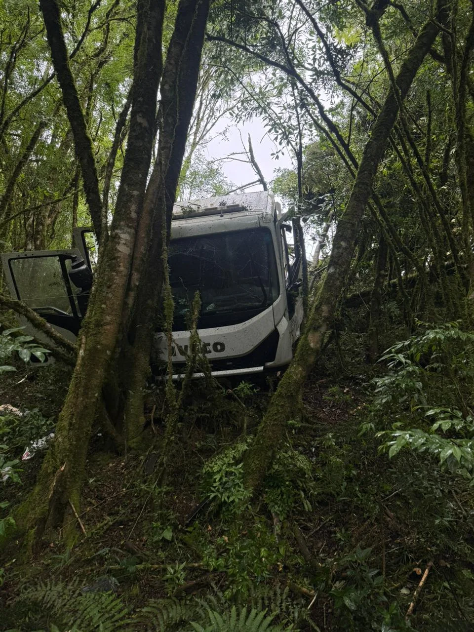 Whatsapp Image 2025 12 01 At 12.33.18