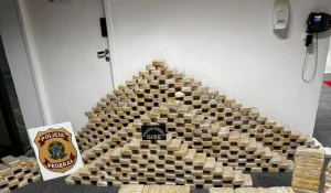 Vídeo: Polícia Federal apreende mais de 600kg de cocaína em Blumenau/SC e prende dois homens