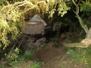 Whatsapp Image 2025 12 05 At 07.16.04