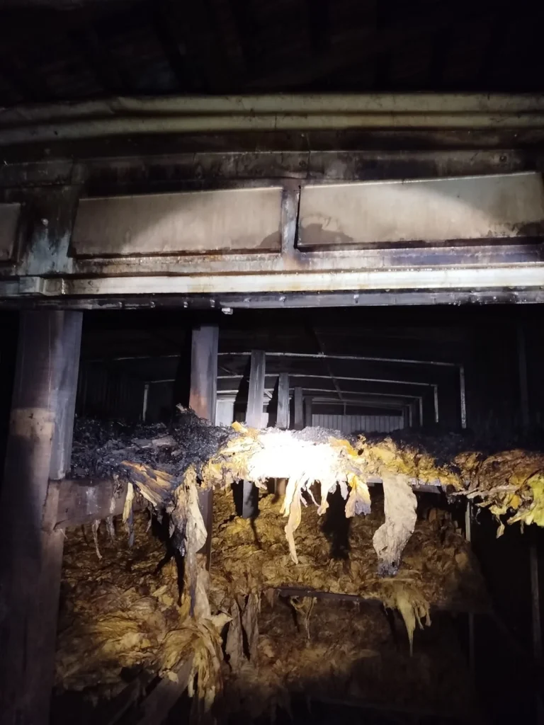 Whatsapp Image 2025 12 05 At 07.22.51 (1)