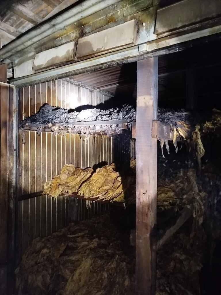 Whatsapp Image 2025 12 05 At 07.22.51