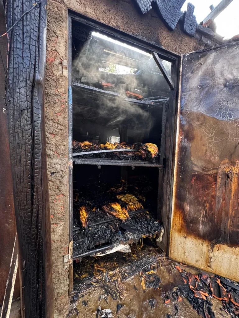 Whatsapp Image 2025 12 05 At 13.38.29