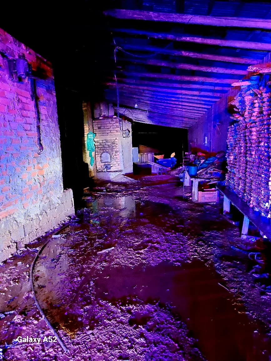 Whatsapp Image 2025 12 11 At 00.39.58