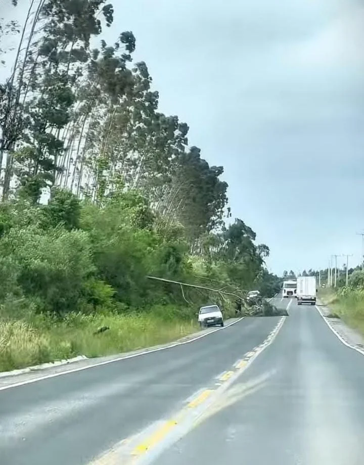 Whatsapp Image 2025 12 11 At 07.01.48