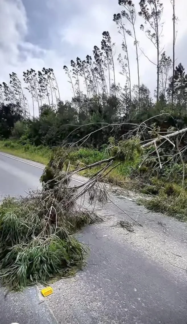 Whatsapp Image 2025 12 11 At 07.01.49