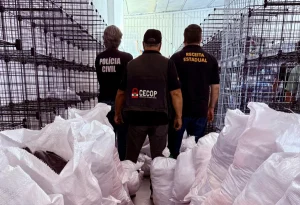 Operação Dupla Face: Polícia Civil apreende R$ 1,5 milhão em roupas falsificadas em SC