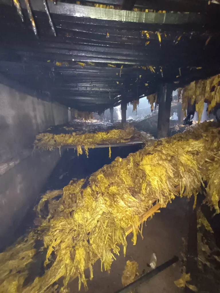 Whatsapp Image 2025 12 15 At 16.25.25