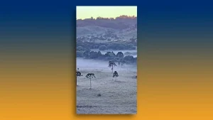 Whatsapp Image 2025 12 17 At 11.34.03