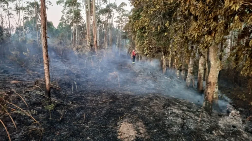 Whatsapp Image 2025 12 17 At 23.54.10 (1)