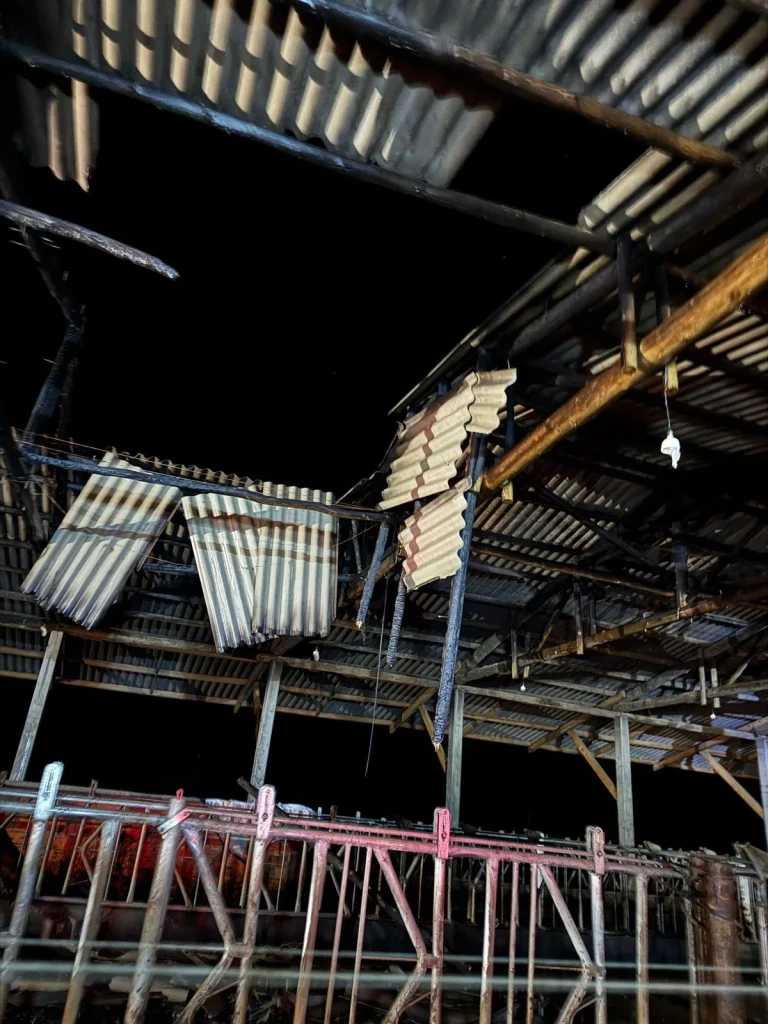 Whatsapp Image 2025 12 19 At 06.21.45