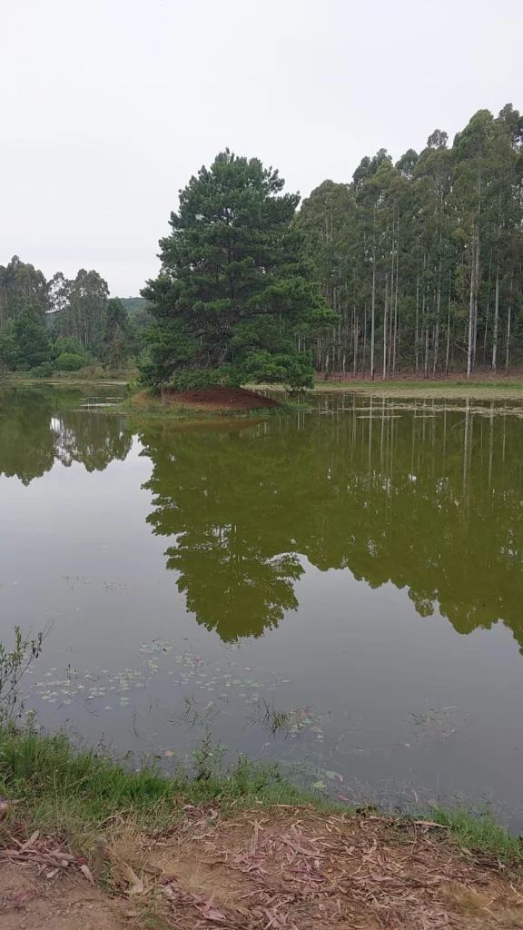 Whatsapp Image 2025 12 21 At 20.52.58 (2)