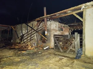 Incêndio destrói estufa de fumo e causa prejuízo de R$ 120 mil em Ituporanga