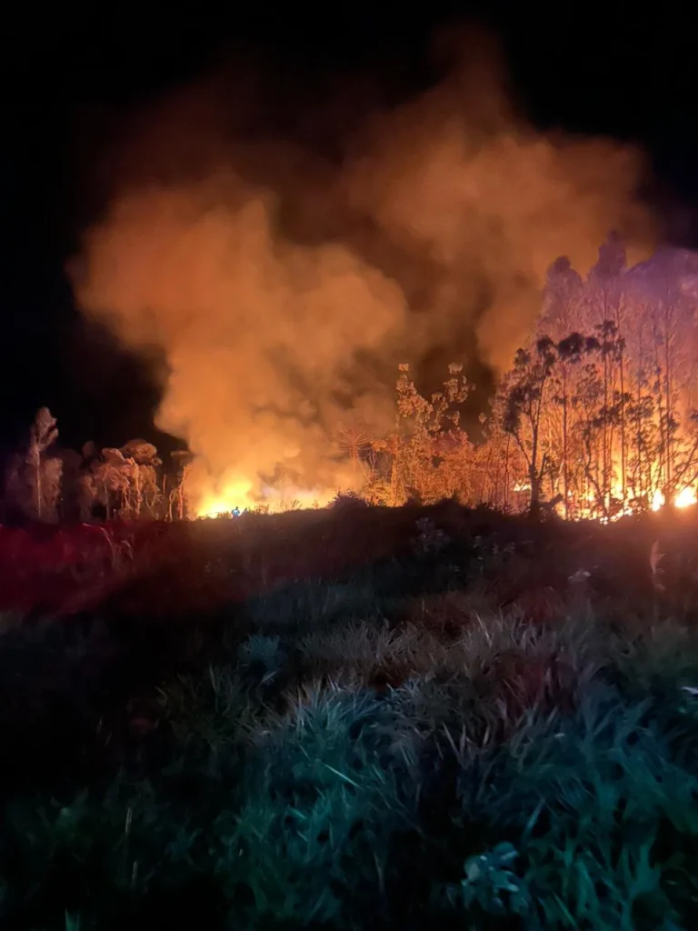 Whatsapp Image 2025 12 23 At 07.31.14 (1)