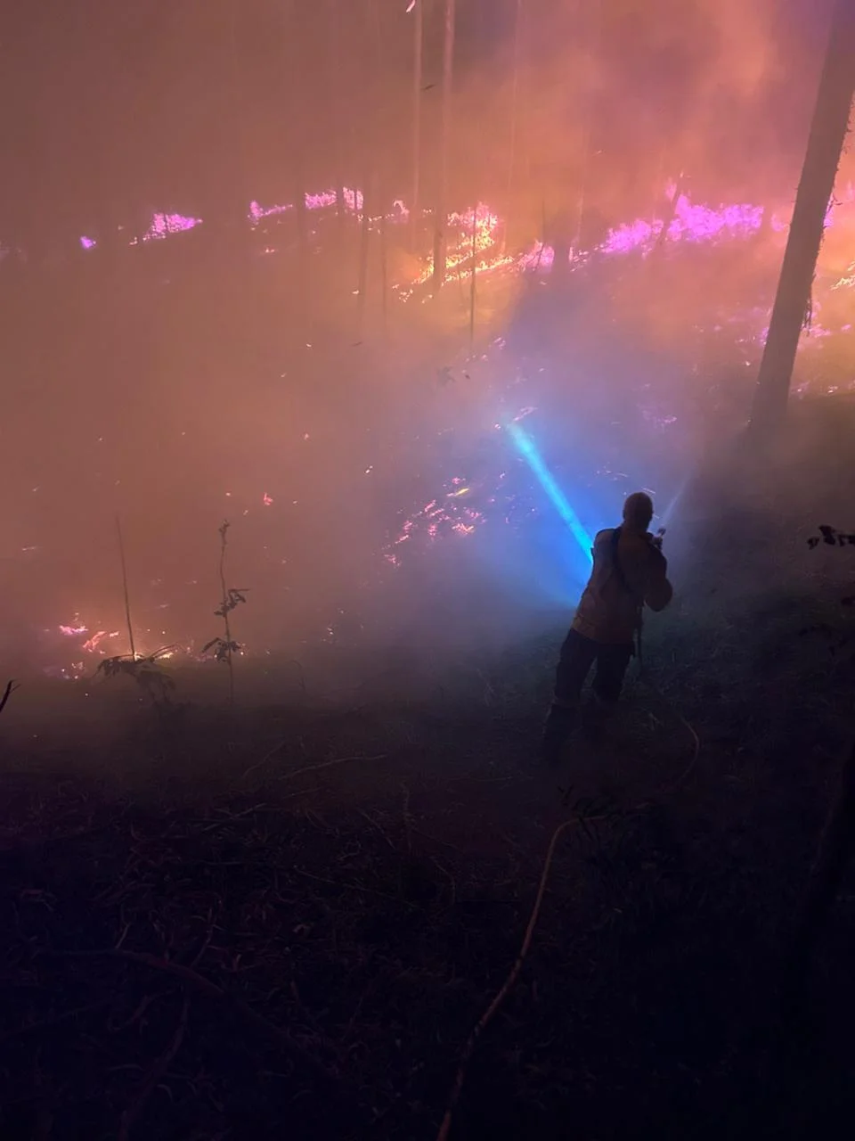 Whatsapp Image 2025 12 23 At 07.31.14