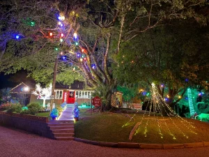 Confira os ganhadores do concurso de decoração natalina 2025 de Rio do Sul