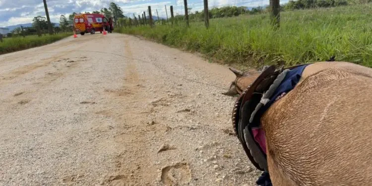 Arq 121314 Noticias 994614 88ac1858f8be90c5e5f5691f47a093ba (1)