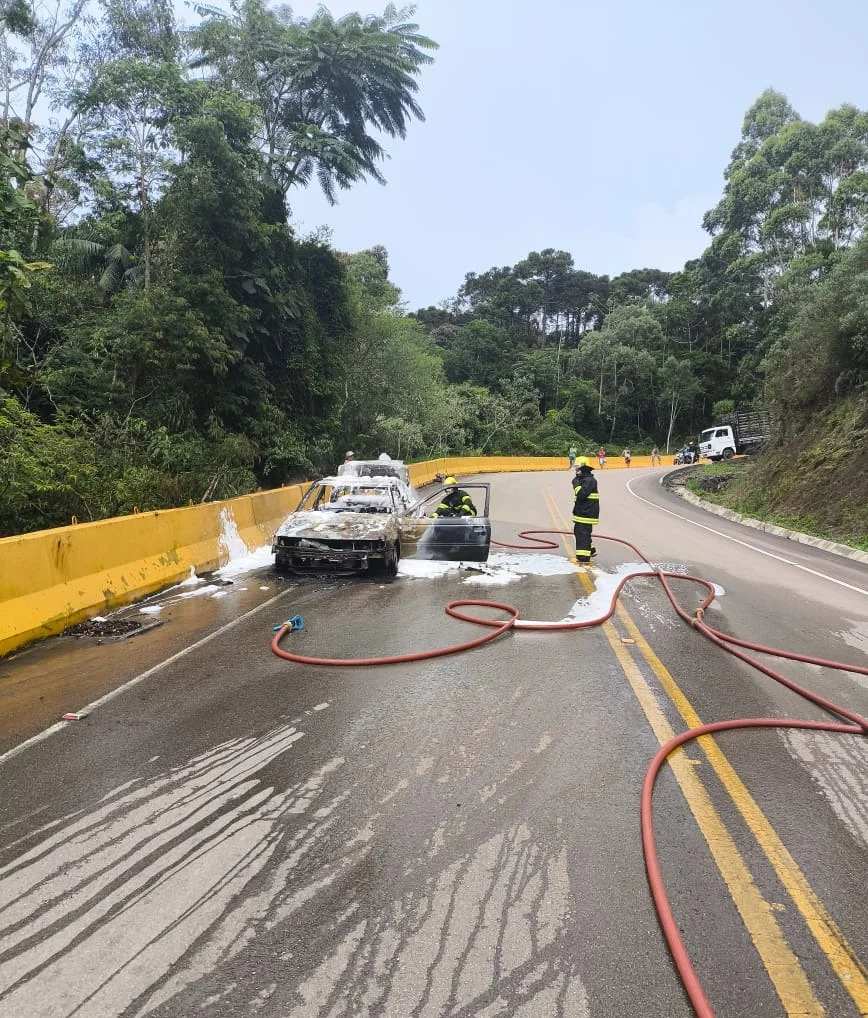 D433091d Cace 46aa 8770 1c42bc098d3c