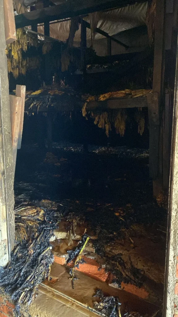 Ddfda680 33ee 4328 Acfd C6e7c8c02774