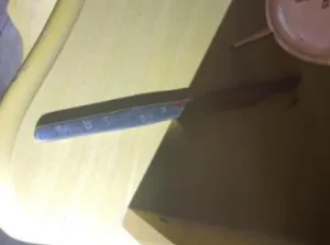 Inquilina esfaqueia homem e é presa em flagrante em Pomerode