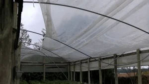 Caixa disponibiliza saque calamidade para moradores de Trombudo Central