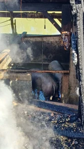 Parte de rancho é destruída por incêndio no interior de Taió