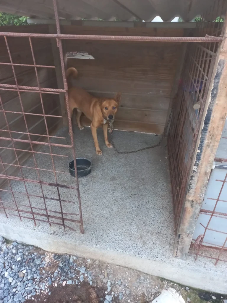 6b79cadb 59ef 4f0f B9ce 9887dbb3a85f