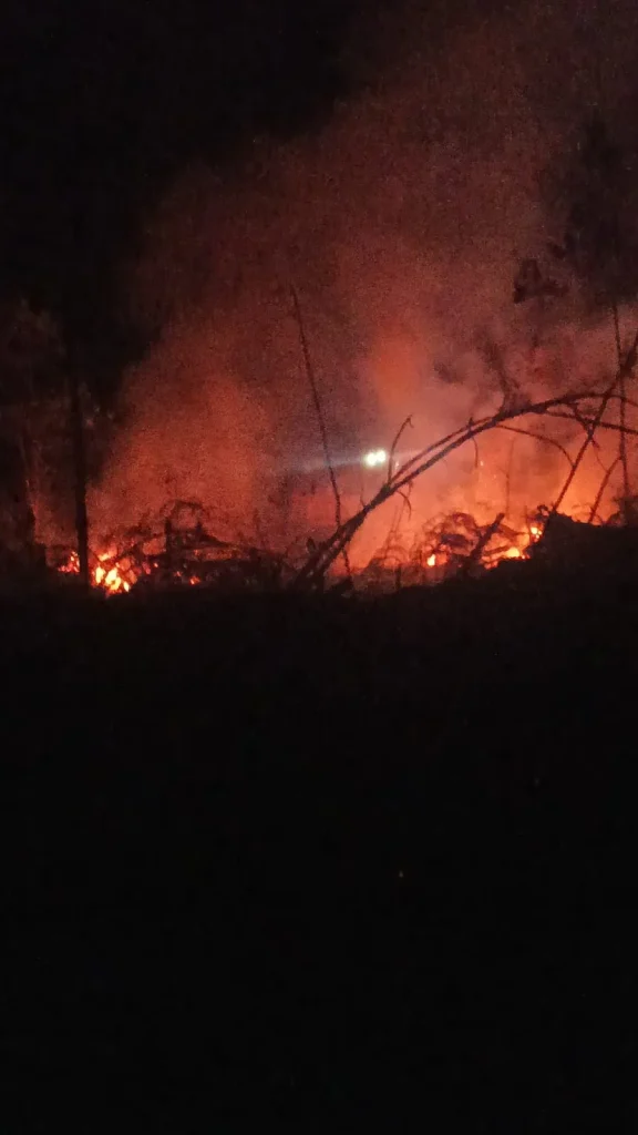 Bombeiros Voluntários Atendem Incêndio Em Reflorestamento Em Presidente Getúlio (1)