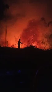 Bombeiros Voluntários atendem incêndio em reflorestamento em Presidente Getúlio