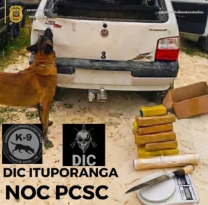 Operação da Polícia Civil prende empresário por tráfico de drogas em Ituporanga