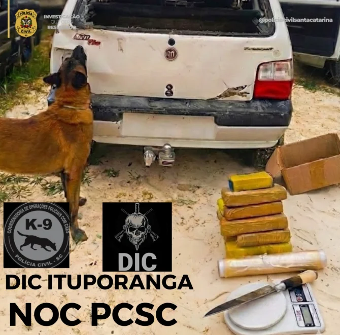 Operação da Polícia Civil prende empresário por tráfico de drogas em Ituporanga