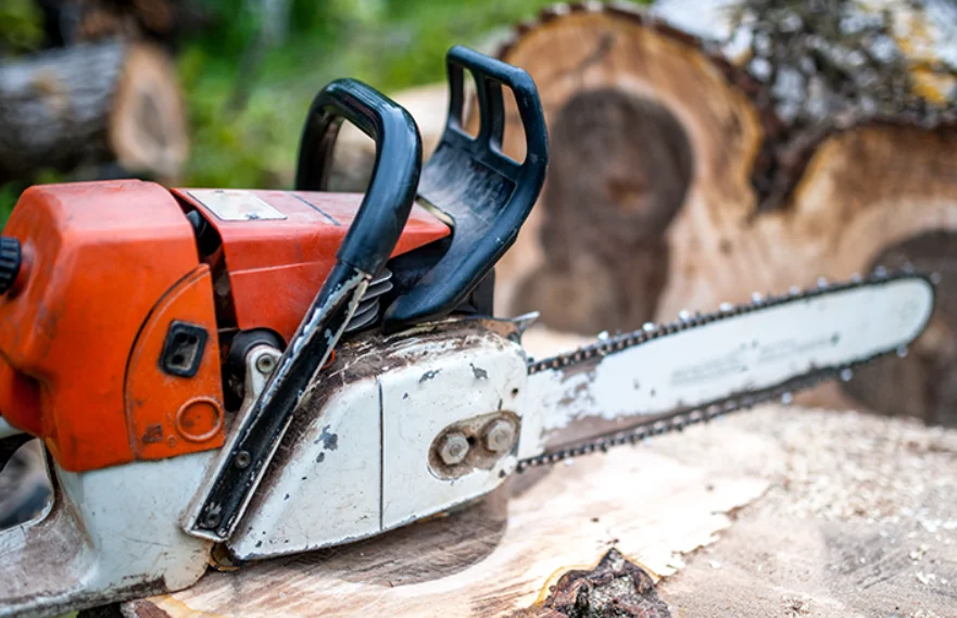 Idoso de 74 anos é preso após tentar matar o próprio pai com motosserra em SC