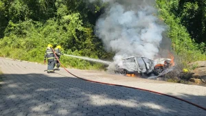 Carro é destruído por incêndio em estrada do interior de Aurora