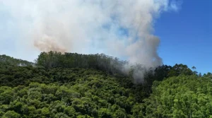 Bombeiros combatem incêndio florestal há três dias em Apiúna