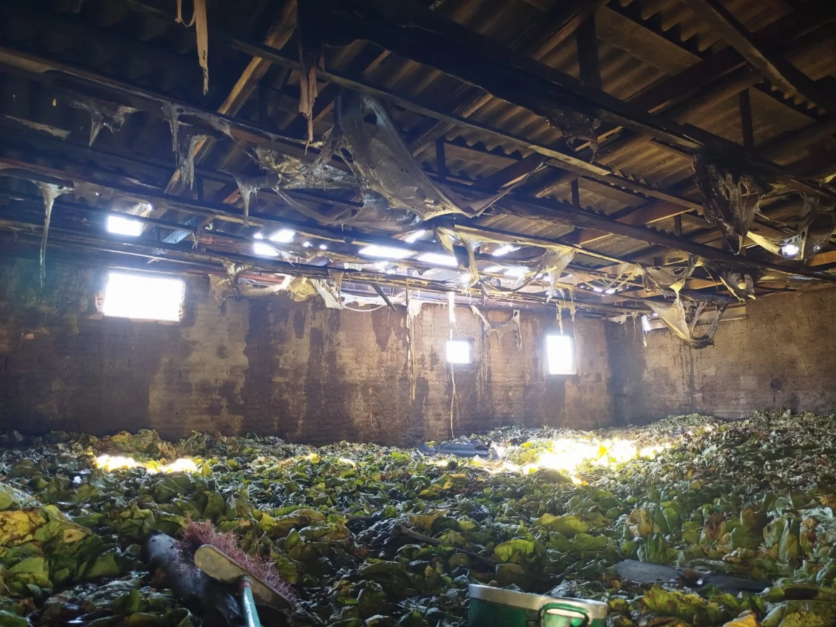 Incêndio atinge estufa de fumo em Leoberto Leal e causa prejuízo de R$ 200 mil