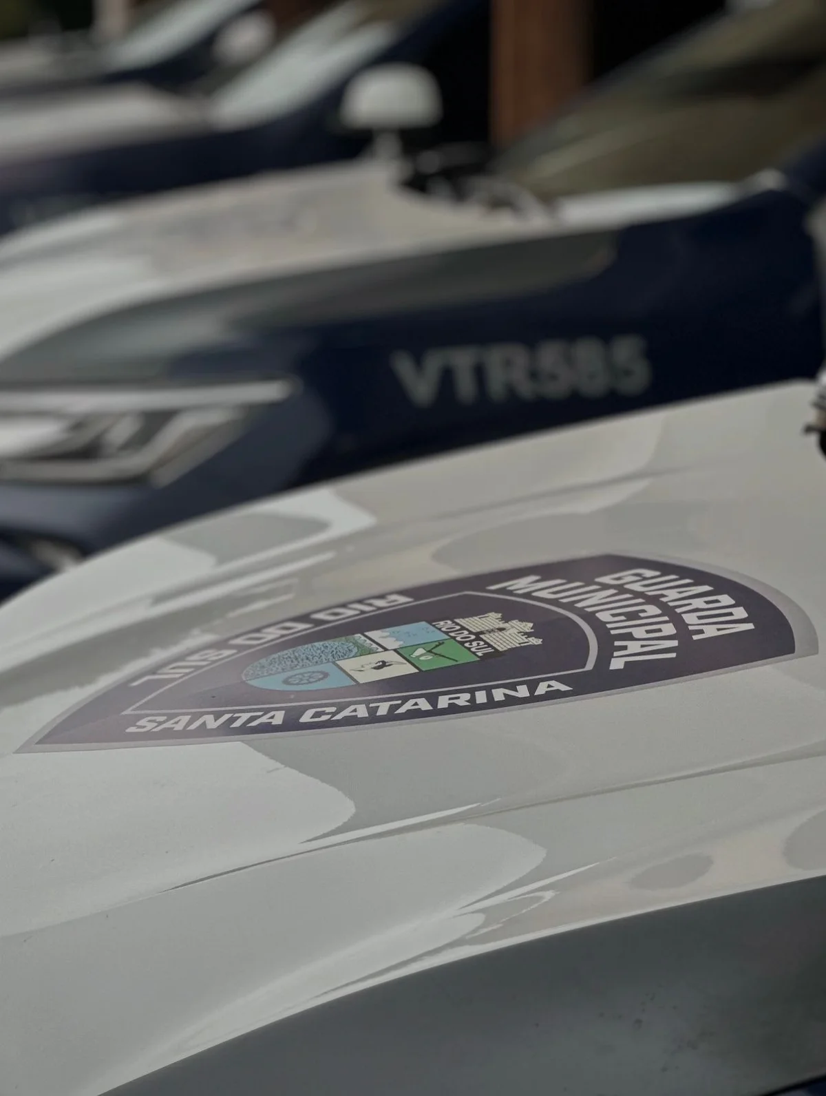 Whatsapp Image 2026 01 11 At 16.57.48