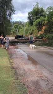 Árvore cai sobre via e mobiliza bombeiros em Rio do Sul