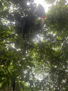 Piloto de parapente morre após acidente na Praia Vermelha em Penha