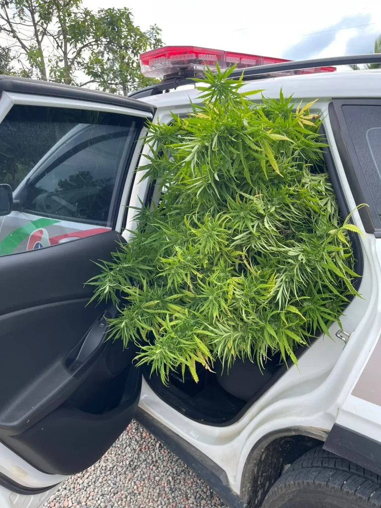 Whatsapp Image 2026 01 17 At 20.27.56