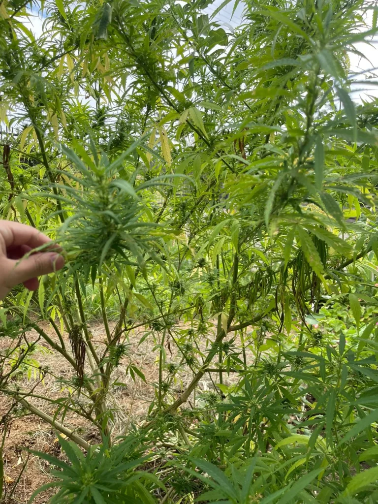 Whatsapp Image 2026 01 17 At 20.27.57 (1)