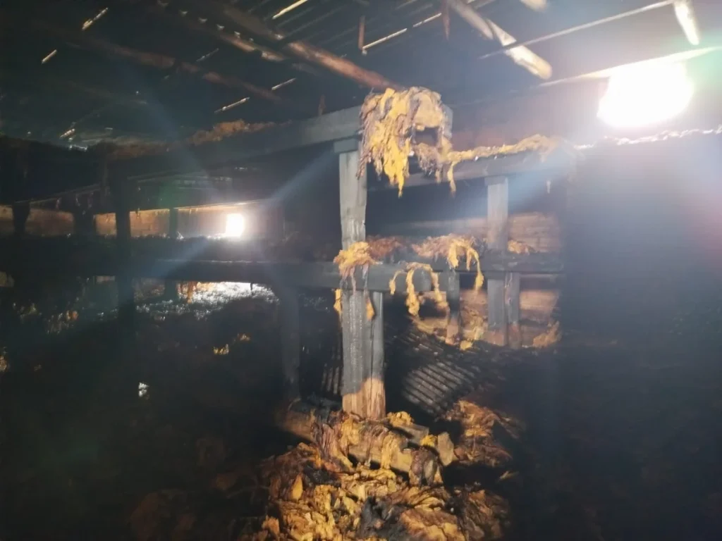 Whatsapp Image 2026 01 18 At 13.54.39 (1)