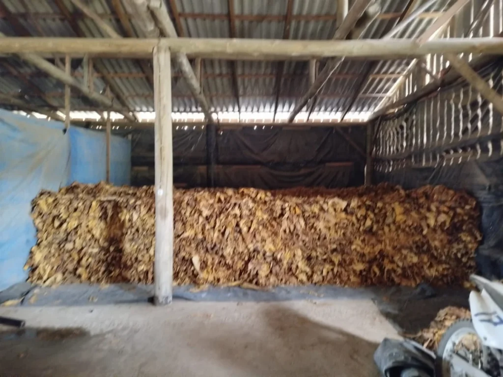 Whatsapp Image 2026 01 18 At 13.54.40