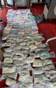 Jovem é preso com 120 mil comprimidos de ecstasy em SC