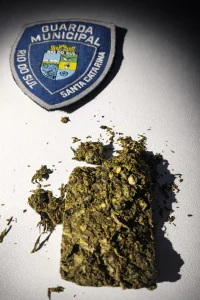 Guarda Municipal flagra uso de maconha em área de mata em Rio do Sul