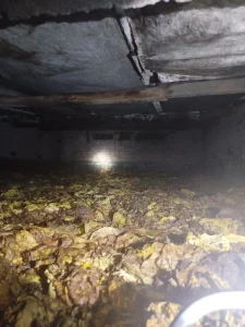 Incêndio atinge estufa de fumo em Chapadão do Lageado