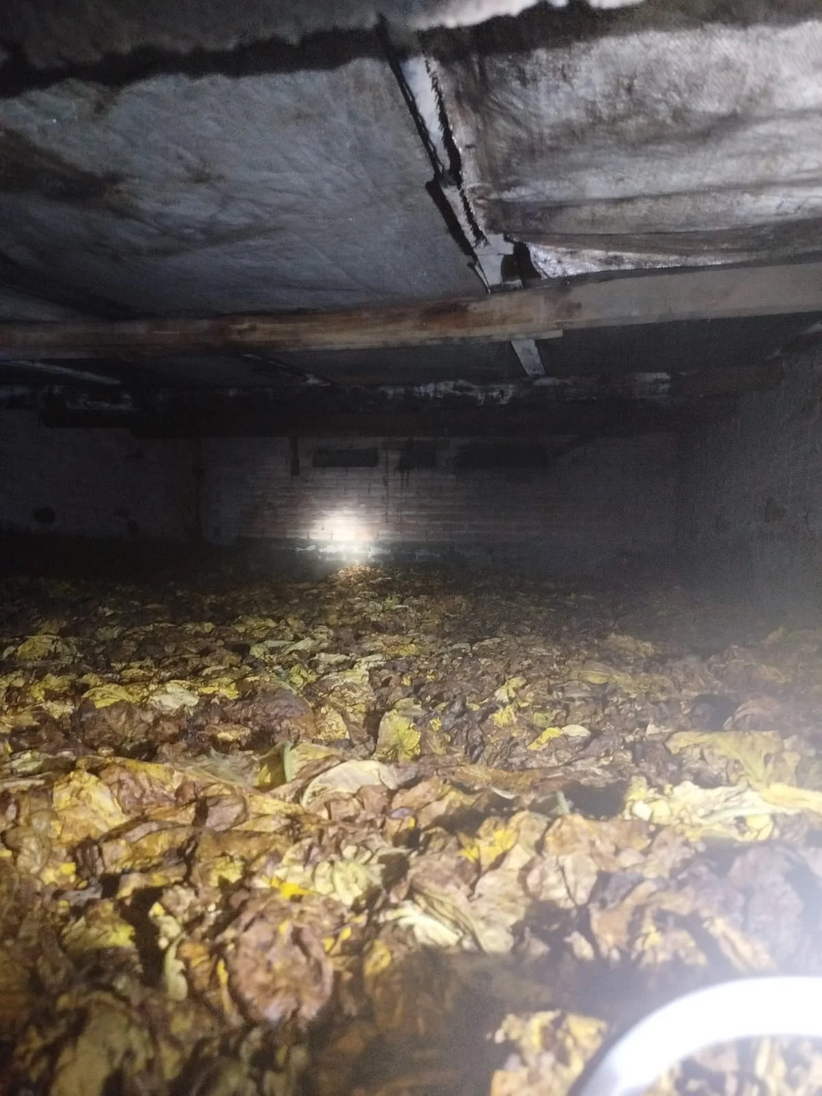 Whatsapp Image 2026 01 22 At 07.10.17