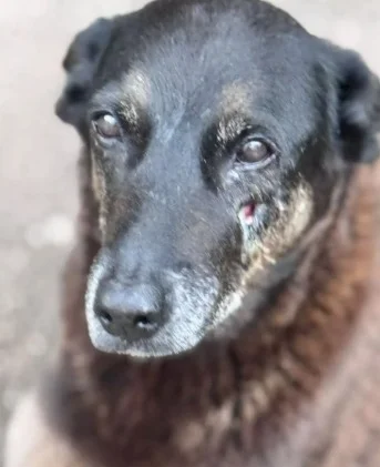 Whatsapp Image 2026 01 26 At 12.00.00