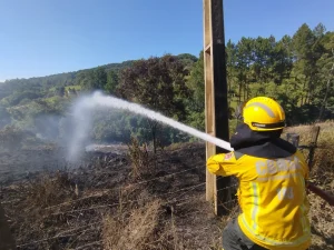 Bombeiros contêm incêndio em vegetação e evitam avanço do fogo em Rio do Sul