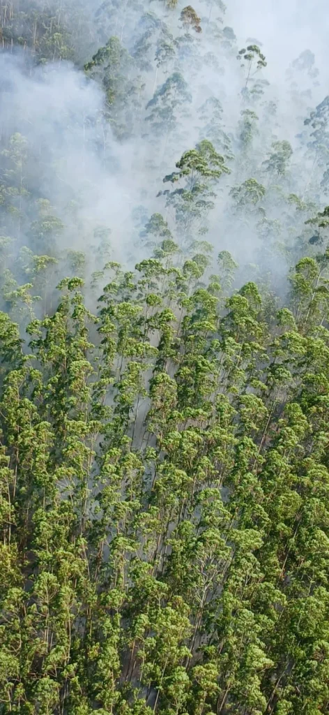 Whatsapp Image 2026 01 27 At 17.26.21